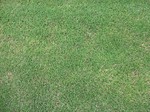 s6港島幼稚園状況視察090826 006.jpg