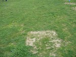 s6桜の宮小学校090323 006.jpg