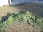 s6帝塚山芝刈り作業100826 006.jpg
