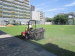 s6清江小学校目砂作業130710 (6).jpg