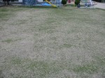s7ΒiΗctAdzctjOVORPX 007.jpg