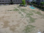 s7ˎR󋵎@PPOTOV 007.jpg