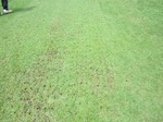 s7港島コアリング作業150702 (7).jpg