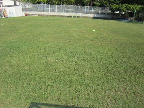 s7港島幼コアリング作業130711 (7).jpg