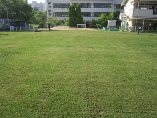 s8港島幼コアリング作業130711 (8).jpg