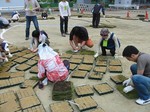 s9神戸震災復興記念公園ポット苗つくり０９０５０４ 009.jpg