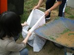 s9̋{120602-9.jpg